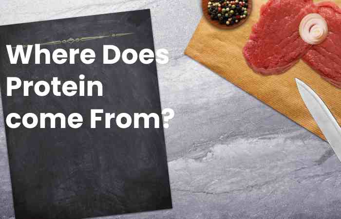 Where Does Protein come From?