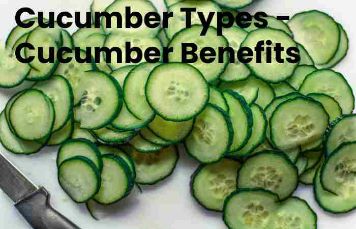 Cucumber Types - Cucumber Benefits