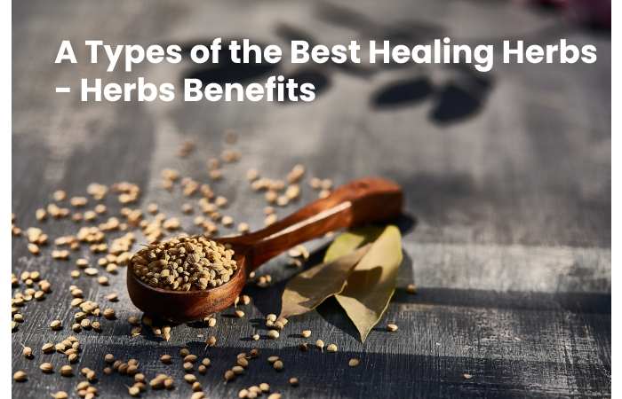 A Types of the Best Healing Herbs - Herbs Benefits