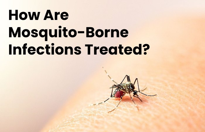 How Are Mosquito-Borne Infections Treated?