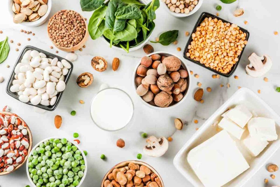 Wellhealthorganic.Com_Vegetarian Protein Sources