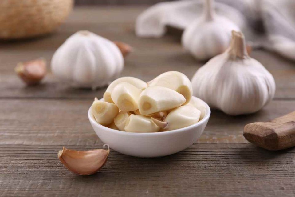 Garlic Benefits