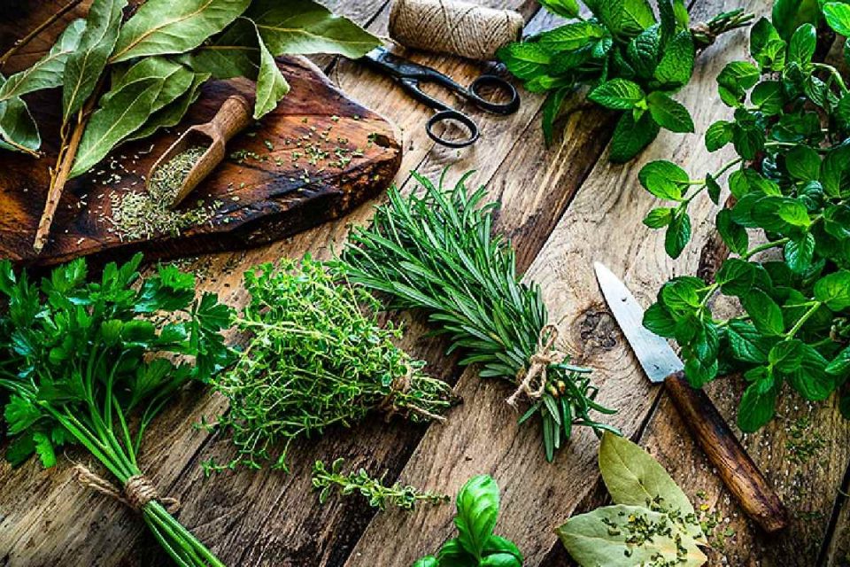 Herbs Benefits