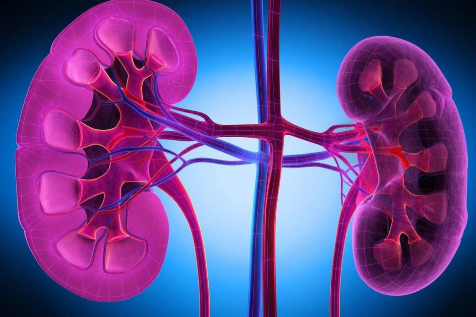 Kidney Disease