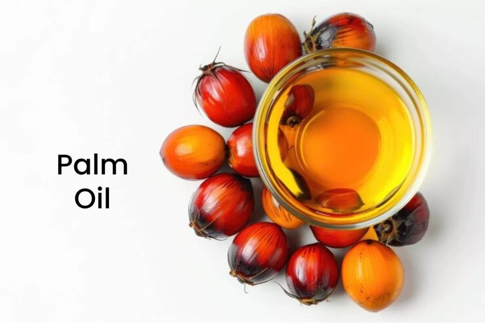 Palm Oil