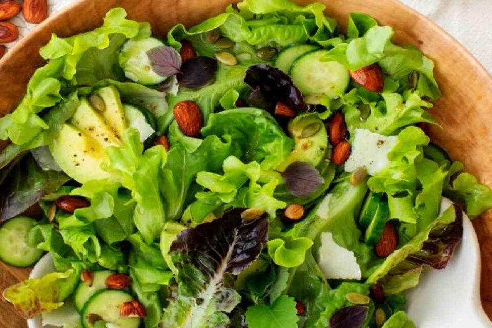 Types OF Salad