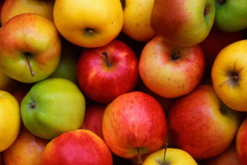 Apple Benefits