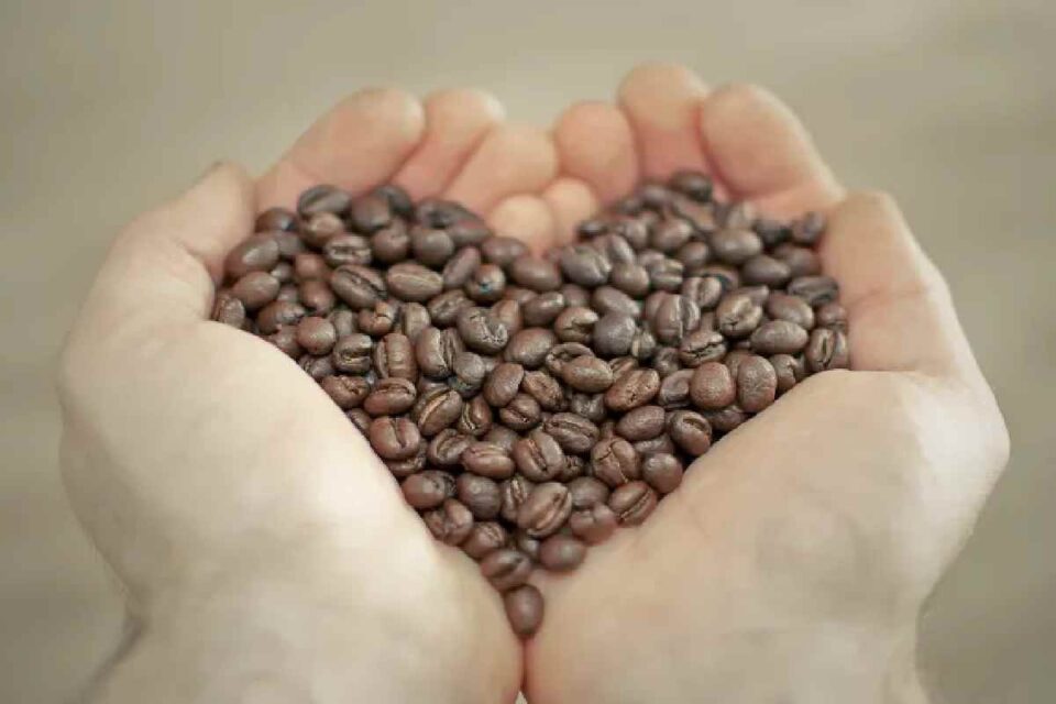 Coffee Benefits